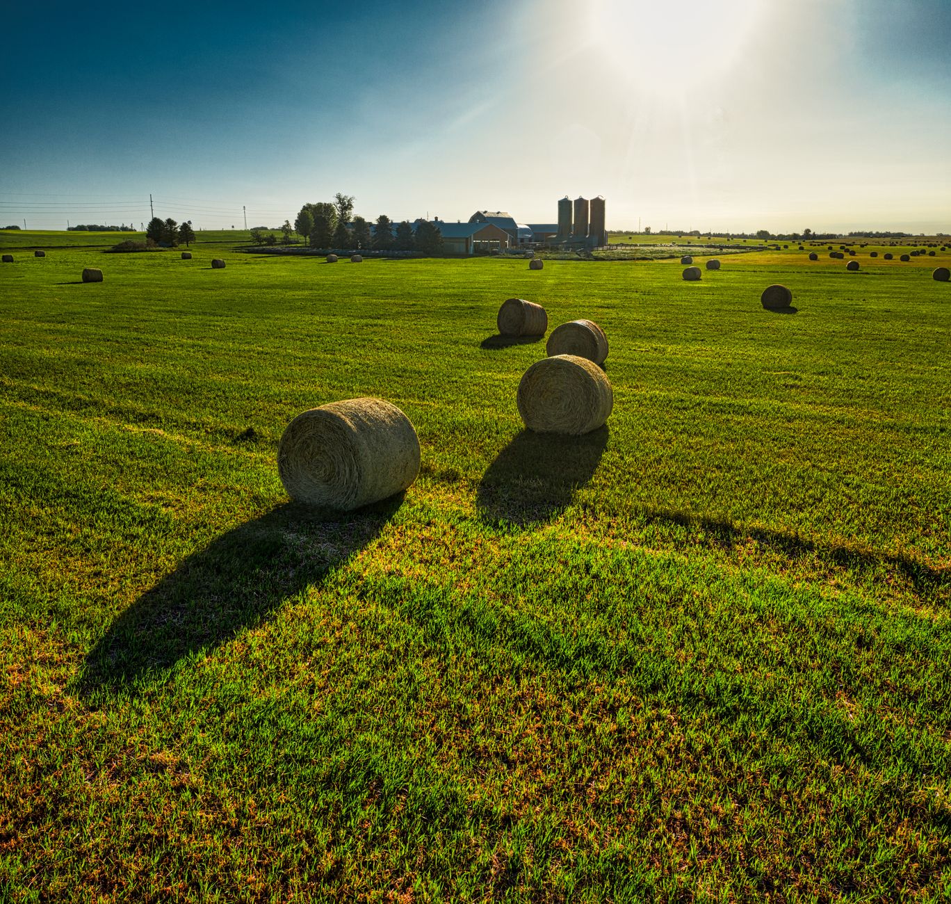 A picturesque farm field in Minnesota with round hay bales under a bright blue sky.